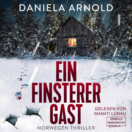 Ein finsterer Gast - Norwegen-Thriller (ungekürzt), Daniela Arnold