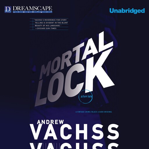 Mortal Lock, Andrew Vachss