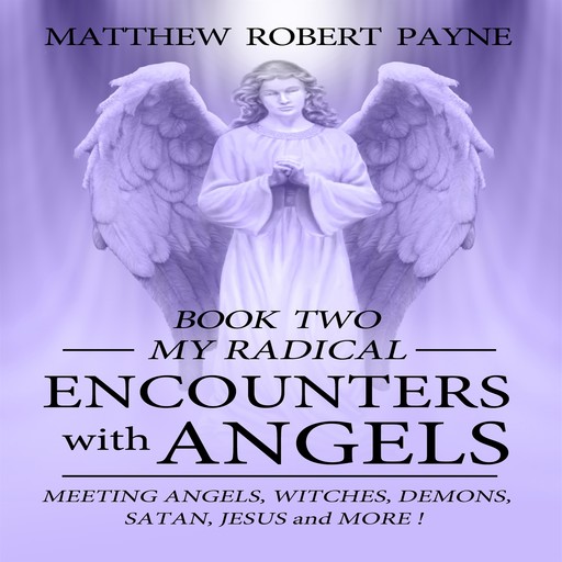 My Radical Encounters with Angels, Matthew Robert Payne