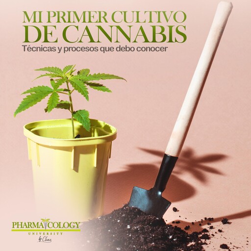 Mi primer cultivo de Cannabis, Pharmacology University
