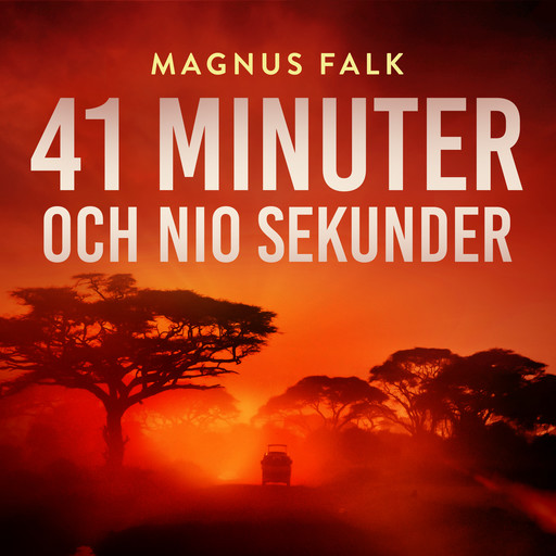 41 minuter och nio sekunder, Magnus Falk