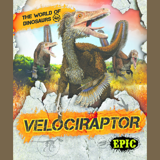 Velociraptor, Rebecca Sabelko