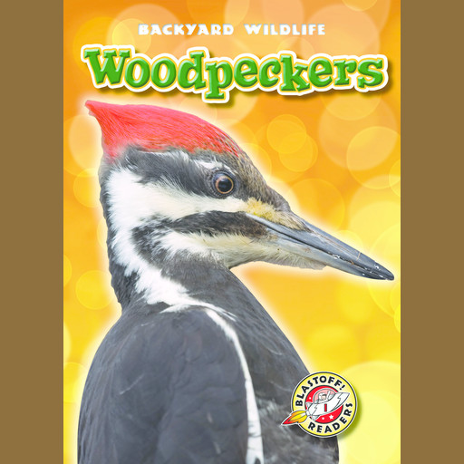 Woodpeckers, Kari Schuetz