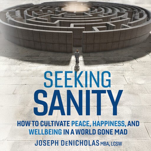 Seeking Sanity, LCSW, Joseph DeNicholas MBA