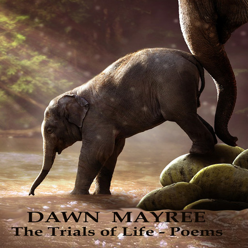 The Trials of Life - Poems, Dawn Mayree