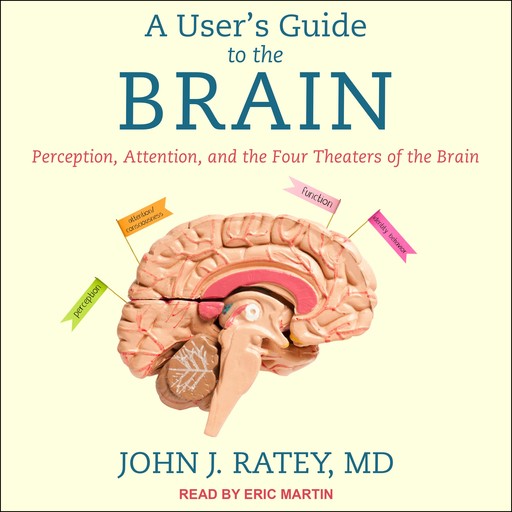 A User's Guide to the Brain, John Ratey