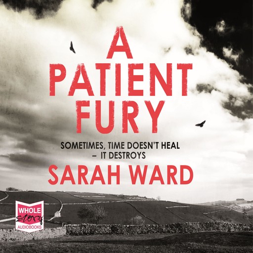 A Patient Fury, Sarah Ward