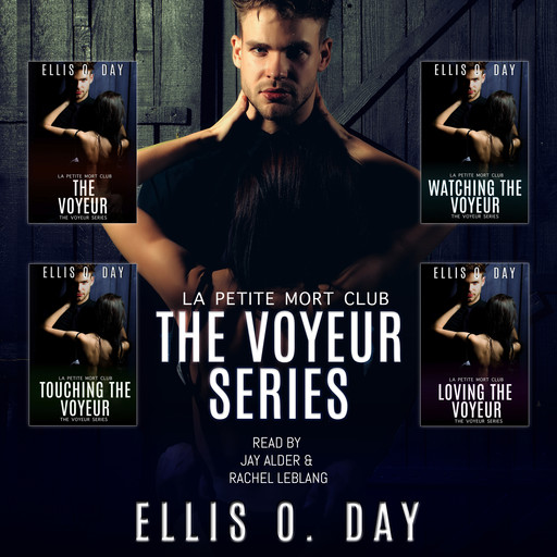 The Voyeur Series (books 1-4), Ellis O. Day