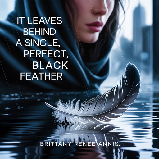 It leaves behind a single, perfect black feather, Brittany Renee Annis