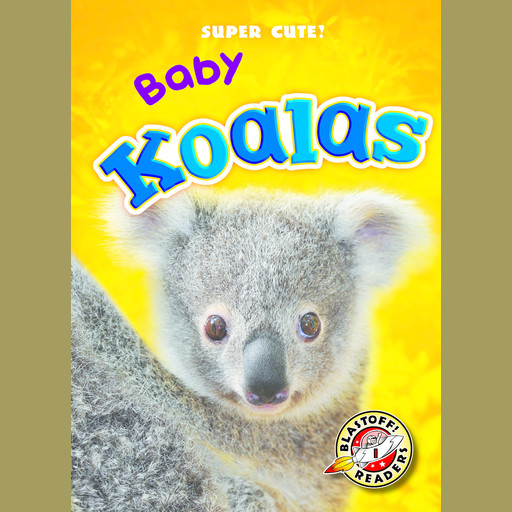 Baby Koalas, Megan Borgert-Spaniol