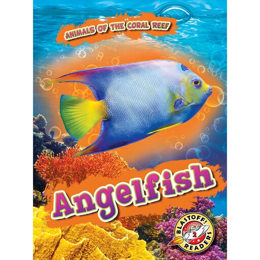 Angelfish, Kate Moening