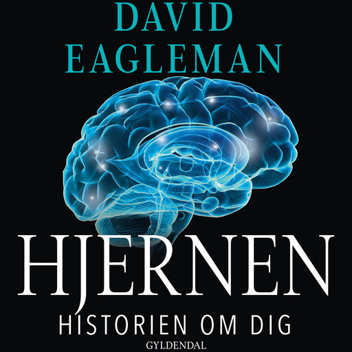 Hjernen, David Eagleman