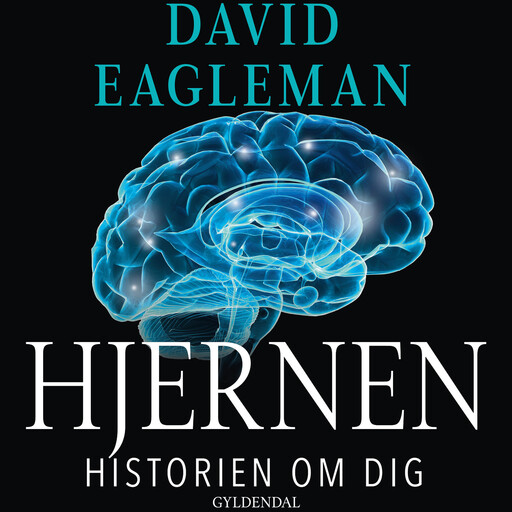Hjernen, David Eagleman
