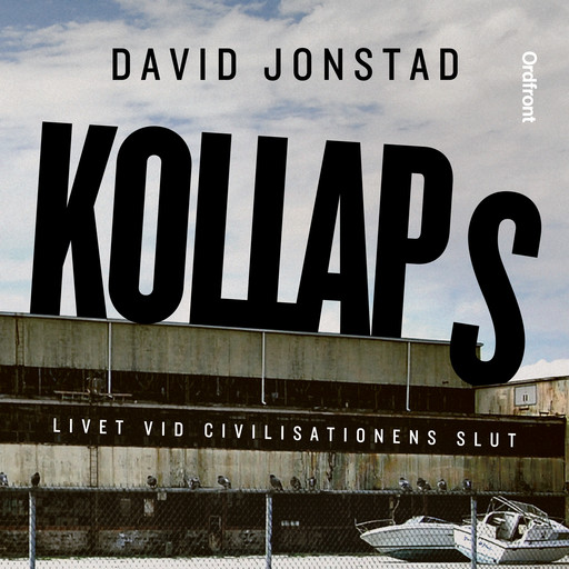 Kollaps, David Jonstad