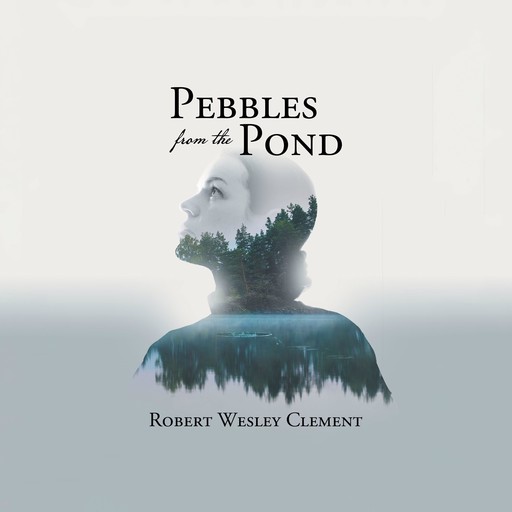 Pebbles From The Pond: A Teacher's Story, Robert Wesley Clement