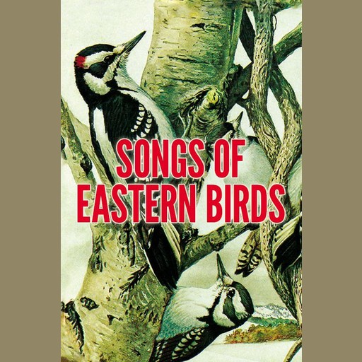 Songs of Eastern Birds, Donald J. Borror