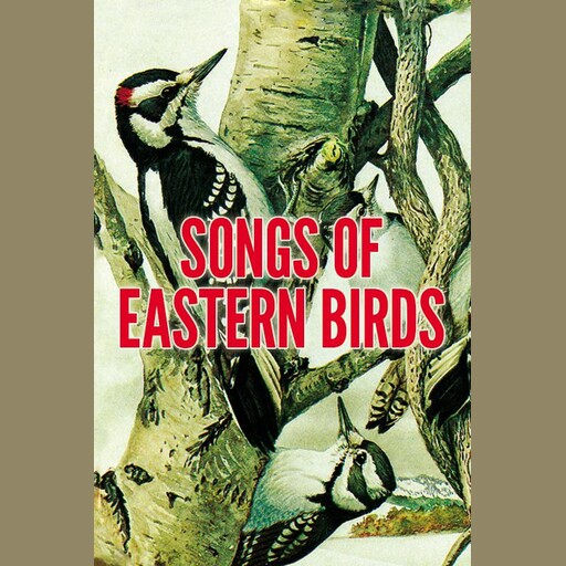 Songs of Eastern Birds, Donald J. Borror