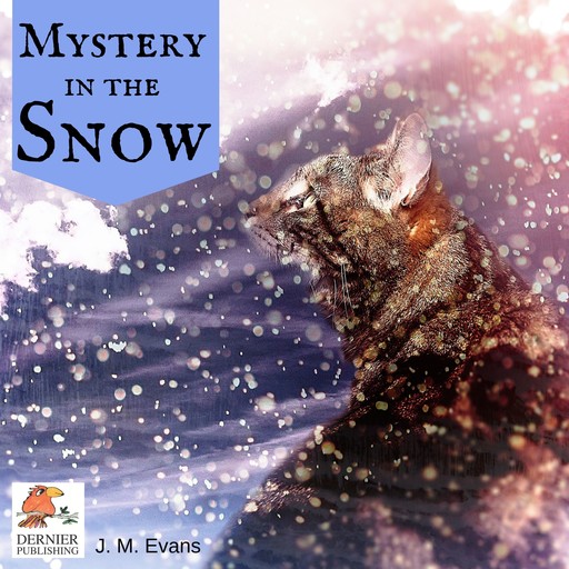 Mystery in the Snow, J.M. Evans