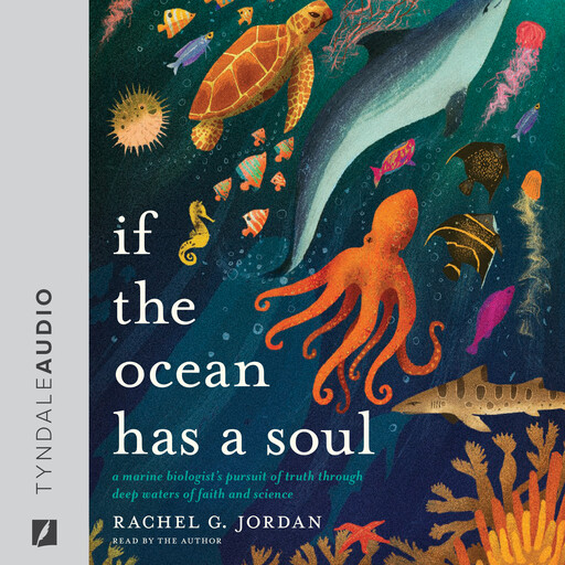 If the Ocean Has a Soul, Rachel Jordan