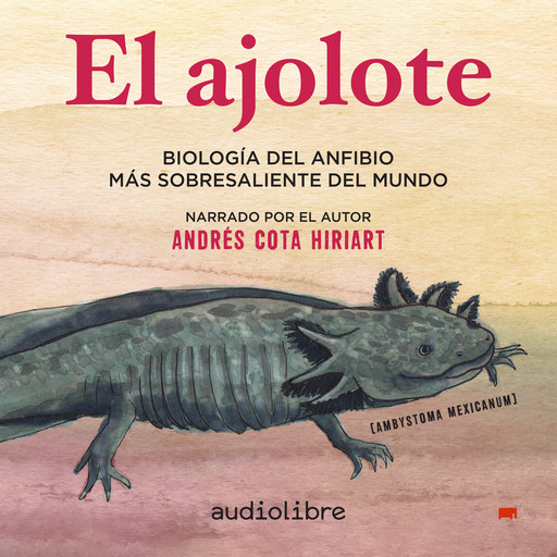 El ajolote, Andrés Cota Hiriart