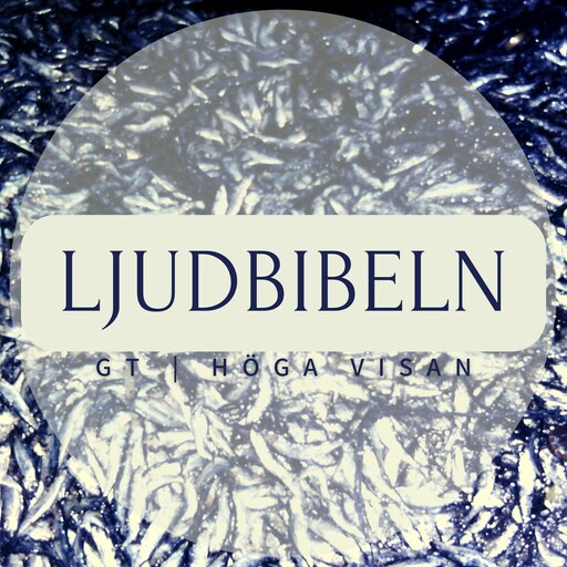 GT | Höga Visan, Ljudbibeln