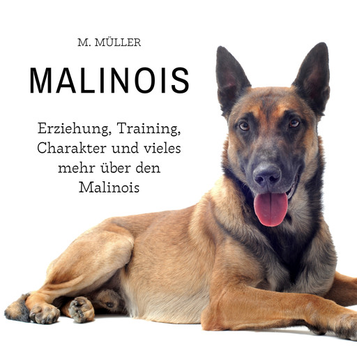 Malinois, Müller