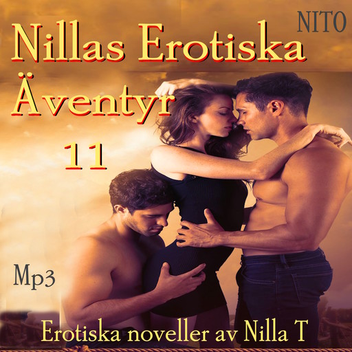 Nillas Erotiska Äventyr 11, Nilla T
