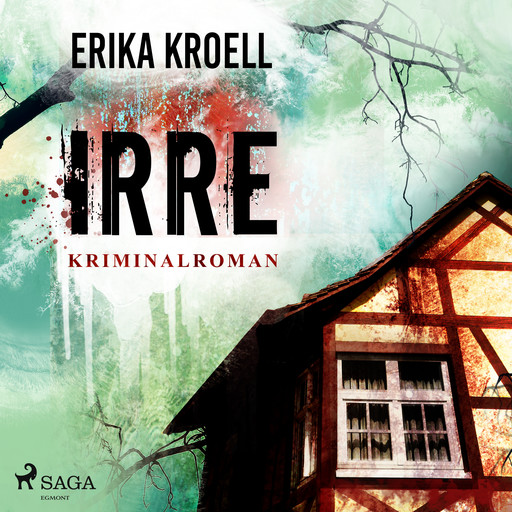 Irre - Kriminalroman, Erika Kroell