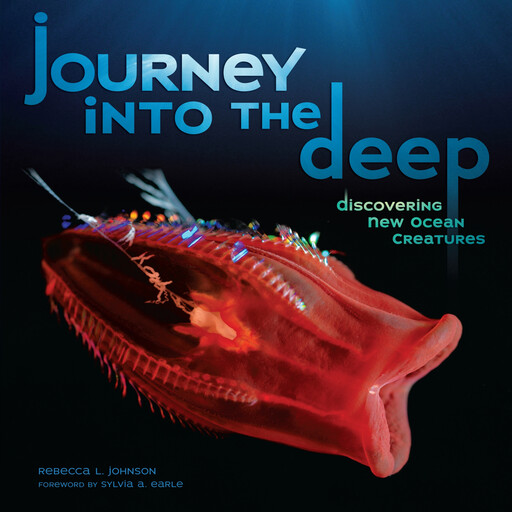 Journey into the Deep, Rebecca Johnson