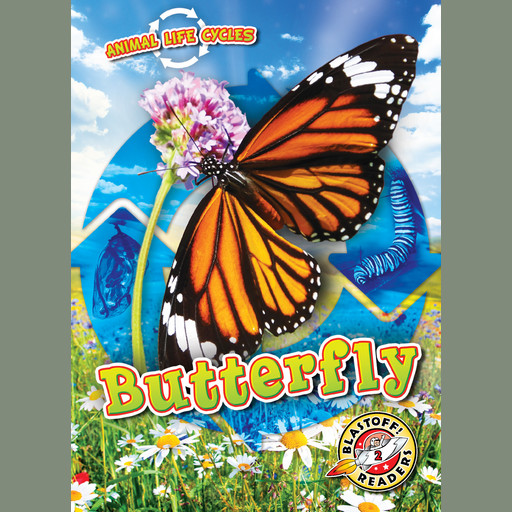 Animal Life Cycles: Butterfly, Rebecca Sabelko