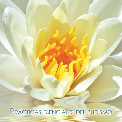 Prácticas esenciales del budismo, Gueshe Kelsang Gyatso