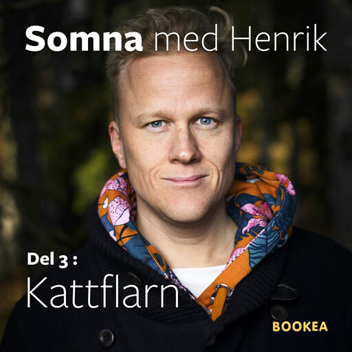 Kattflarn, Henrik Ståhl