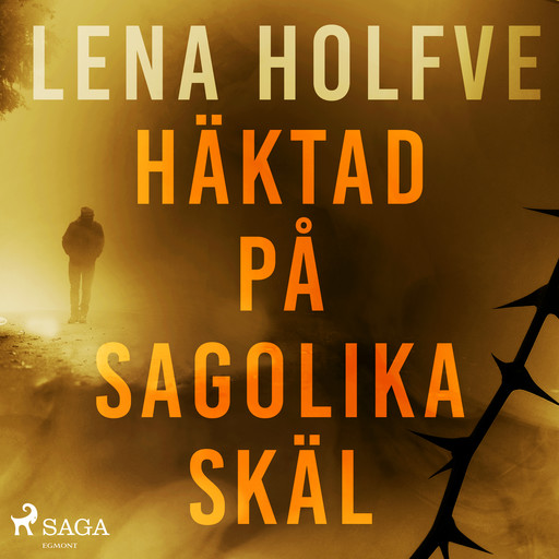 Häktad på sagolika skäl, Lena Holfve