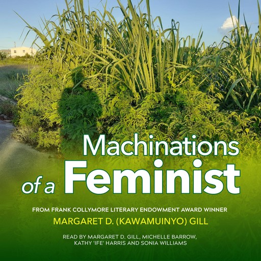 Machinations of A Feminist, Margaret D. Gill
