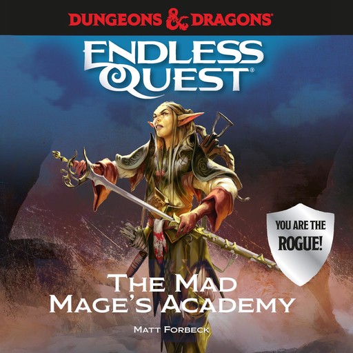 Dungeons & Dragons: The Mad Mage's Academy, Matt Forbeck