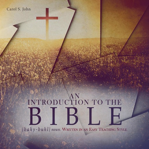 An Introduction to the Bible, Carol S. John