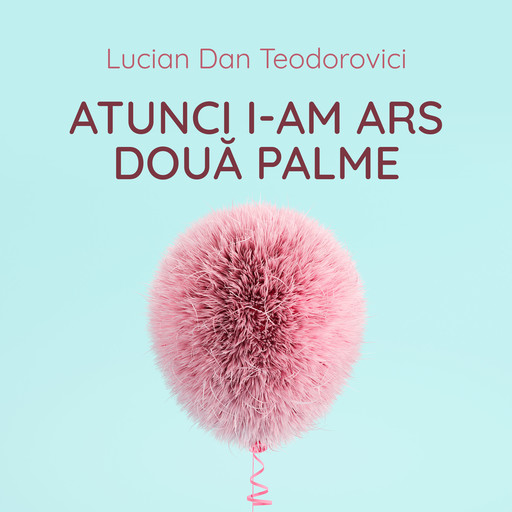 Atunci i-am ars două palme, Lucian Dan Teodorovici