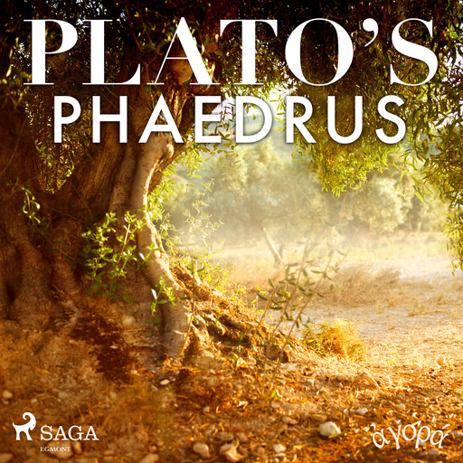 Plato’s Phaedrus, – Plato