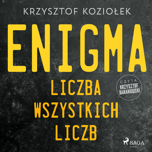 Enigma: liczba wszystkich liczb, Krzysztof Koziołek