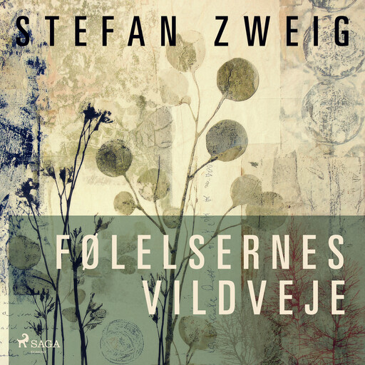 Følelsernes vildveje, Stefan Zweig