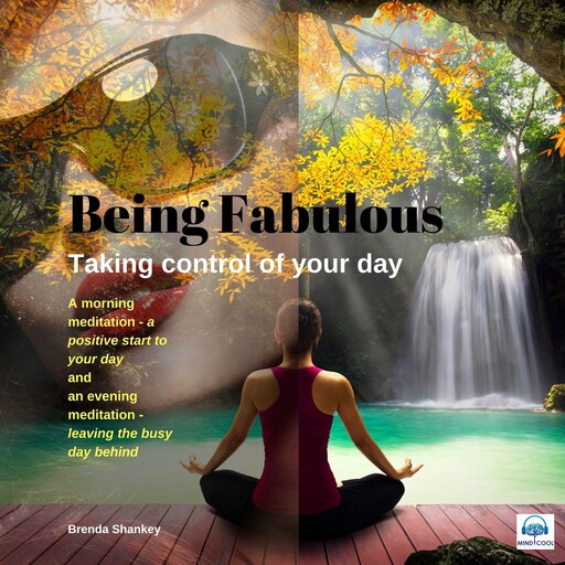 Being Fabulous - 3 of 3 Taking Control of your Day, Brenda Shankey