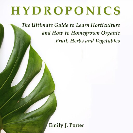 Hydroponics, Emily J. Porter