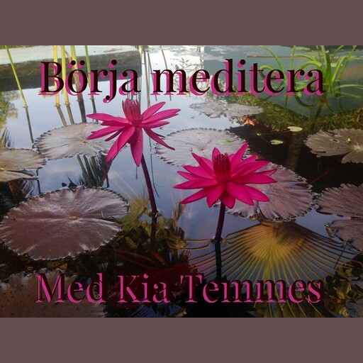 Börja Meditera, Kia Temmes