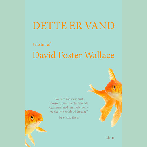 Dette er vand, David Foster Wallace
