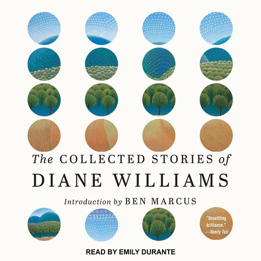 The Collected Stories of Diane Williams, Diane Williams