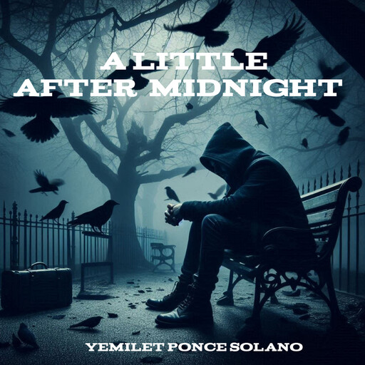 A Little After Midnight, Yemilet Ponce Solano