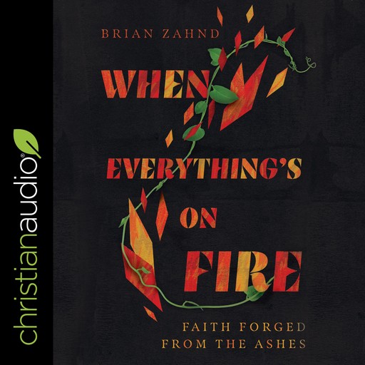 When Everything's on Fire, Brian Zahnd