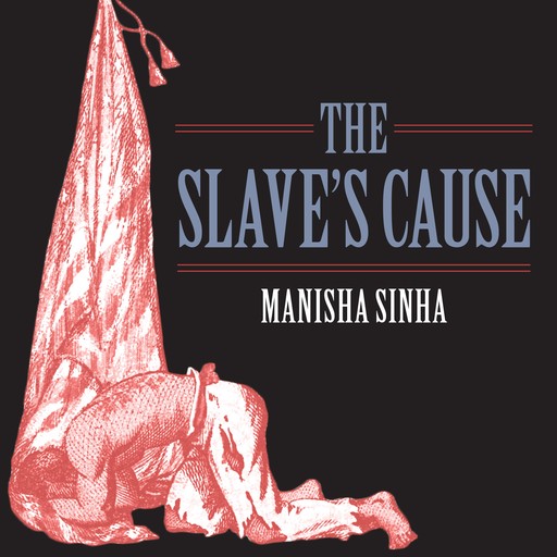 The Slave's Cause, Manisha Sinha