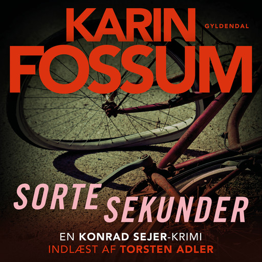Sorte sekunder, Karin Fossum
