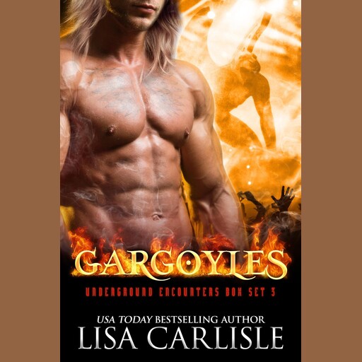 Gargoyles: A Shifter and Rockstar Romance Boxed Set, Lisa Carlisle